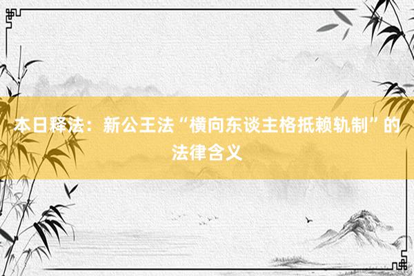 本日释法：新公王法“横向东谈主格抵赖轨制”的法律含义