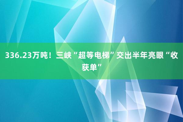 336.23万吨！三峡“超等电梯”交出半年亮眼“收获单”