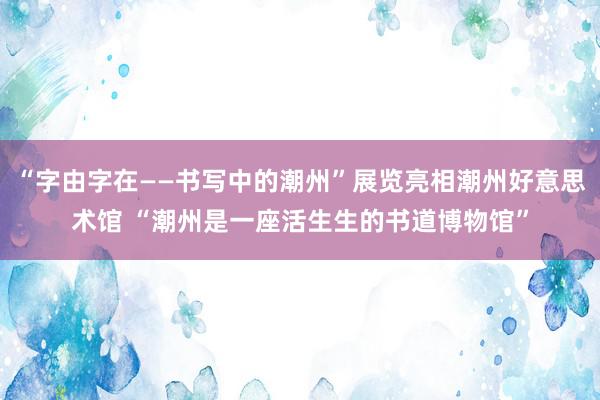 “字由字在——书写中的潮州”展览亮相潮州好意思术馆 “潮州是一座活生生的书道博物馆”