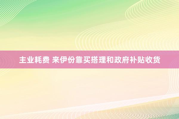 主业耗费 来伊份靠买搭理和政府补贴收货