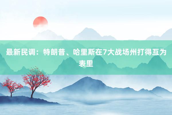 最新民调：特朗普、哈里斯在7大战场州打得互为表里